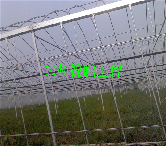 南陽(yáng)溫室現(xiàn)場(chǎng)